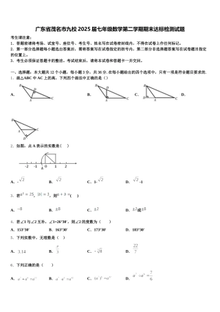 广东省茂名市九校2025届七年级数学第二学期期末达标检测试题含解析