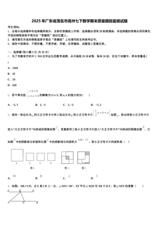 2025年广东省茂名市高州七下数学期末质量跟踪监视试题含解析