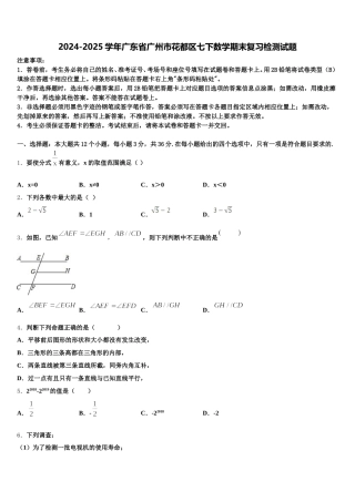 2024-2025学年广东省广州市花都区七下数学期末复习检测试题含解析