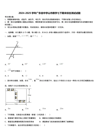 2024-2025学年广东省中学山市数学七下期末综合测试试题含解析