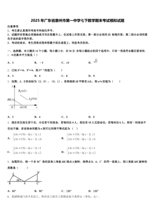2025年广东省惠州市第一中学七下数学期末考试模拟试题含解析
