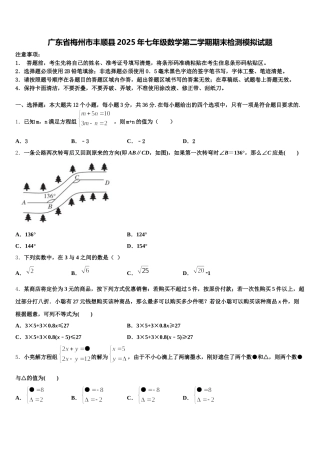 广东省梅州市丰顺县2025年七年级数学第二学期期末检测模拟试题含解析