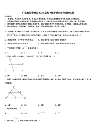 广东省龙华新区2025届七下数学期末复习检测试题含解析