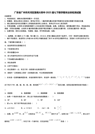 广东省广州市天河区暨南大附中2025届七下数学期末达标检测试题含解析