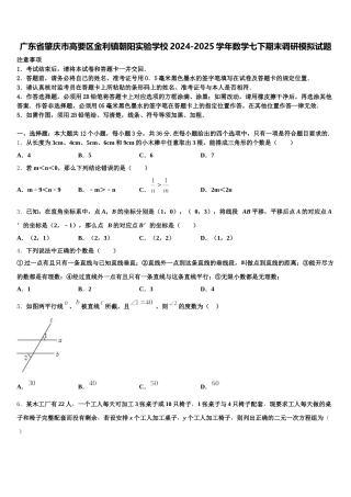广东省肇庆市高要区金利镇朝阳实验学校2024-2025学年数学七下期末调研模拟试题含解析
