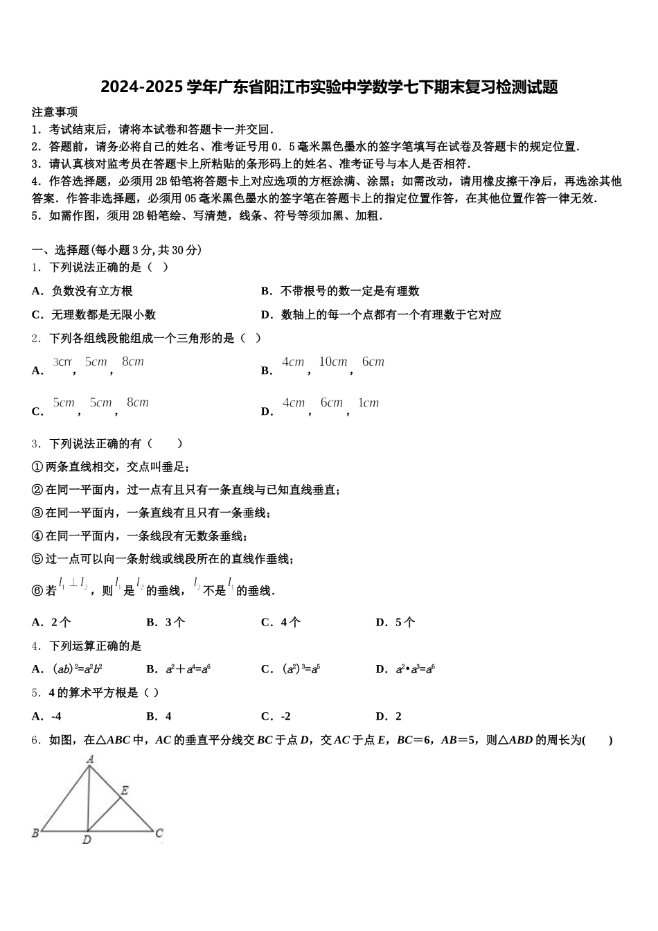 2024-2025学年广东省阳江市实验中学数学七下期末复习检测试题含解析_第1页