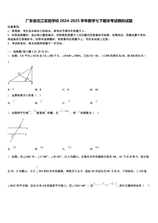 广东省北江实验学校2024-2025学年数学七下期末考试模拟试题含解析