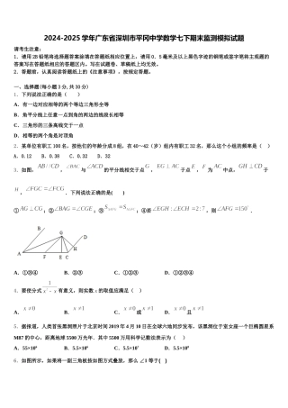 2024-2025学年广东省深圳市平冈中学数学七下期末监测模拟试题含解析