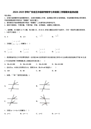 2024-2025学年广东省五华县联考数学七年级第二学期期末监测试题含解析