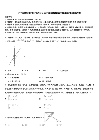 广东省梅州市名校2025年七年级数学第二学期期末调研试题含解析