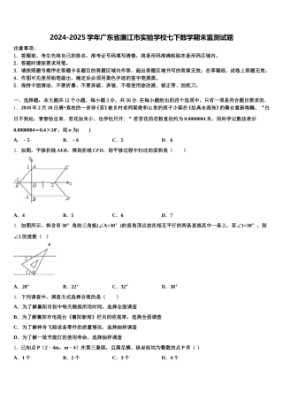 2024-2025学年广东省廉江市实验学校七下数学期末监测试题含解析