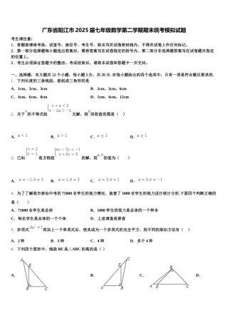 广东省阳江市2025届七年级数学第二学期期末统考模拟试题含解析