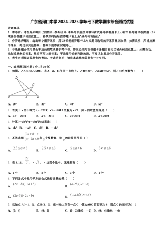 广东省河口中学2024-2025学年七下数学期末综合测试试题含解析
