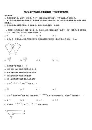 2025届广东省重点中学数学七下期末联考试题含解析