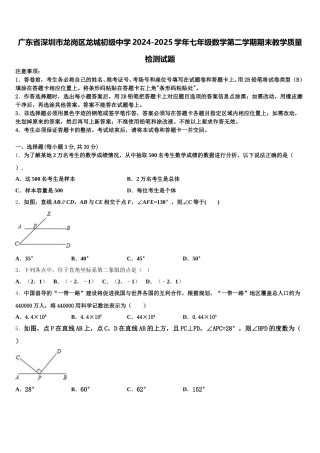 广东省深圳市龙岗区龙城初级中学2024-2025学年七年级数学第二学期期末教学质量检测试题含解析
