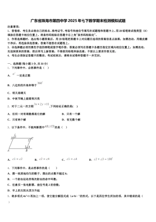广东省珠海市第四中学2025年七下数学期末检测模拟试题含解析