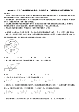 2024-2025学年广东省揭阳市普宁市七年级数学第二学期期末复习检测模拟试题含解析