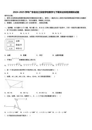 2024-2025学年广东省北江实验学校数学七下期末达标检测模拟试题含解析