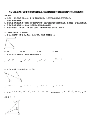 2025年黑龙江省齐齐哈尔市拜泉县七年级数学第二学期期末学业水平测试试题含解析