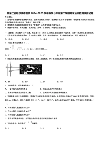 黑龙江省哈尔滨市名校2024-2025学年数学七年级第二学期期末达标检测模拟试题含解析