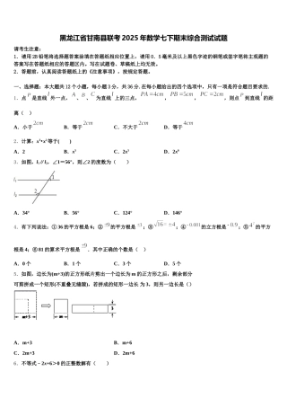 黑龙江省甘南县联考2025年数学七下期末综合测试试题含解析