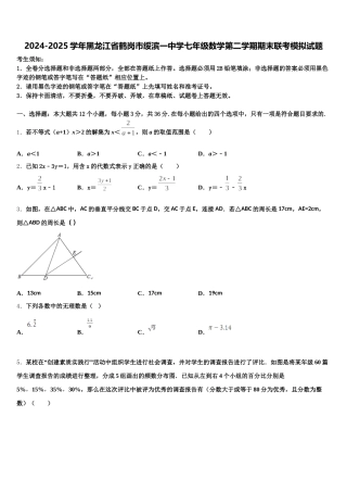 2024-2025学年黑龙江省鹤岗市绥滨一中学七年级数学第二学期期末联考模拟试题含解析