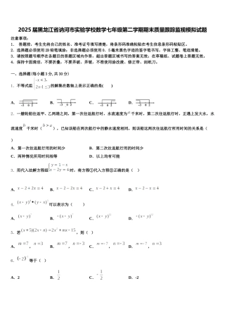 2025届黑龙江省讷河市实验学校数学七年级第二学期期末质量跟踪监视模拟试题含解析