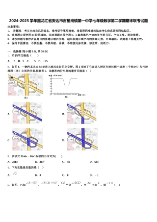 2024-2025学年黑龙江省安达市吉星岗镇第一中学七年级数学第二学期期末联考试题含解析