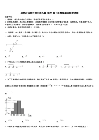 黑龙江省齐齐哈尔市五县2025届七下数学期末统考试题含解析
