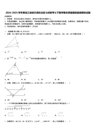 2024-2025学年黑龙江省哈尔滨松北区七校联考七下数学期末质量跟踪监视模拟试题含解析