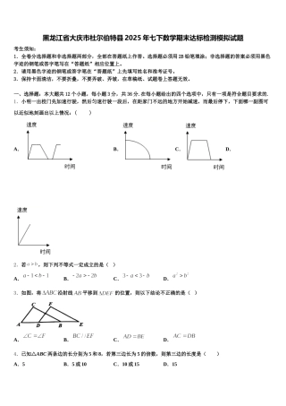 黑龙江省大庆市杜尔伯特县2025年七下数学期末达标检测模拟试题含解析