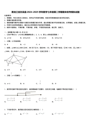 黑龙江省孙吴县2024-2025学年数学七年级第二学期期末统考模拟试题含解析