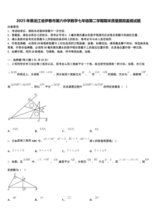 2025年黑龙江省伊春市第六中学数学七年级第二学期期末质量跟踪监视试题含解析