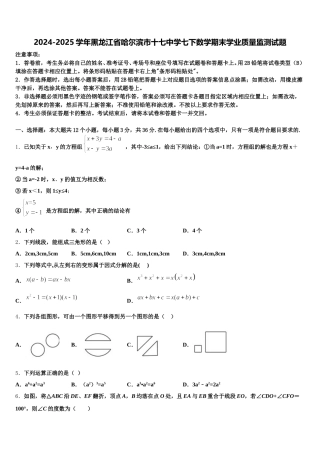 2024-2025学年黑龙江省哈尔滨市十七中学七下数学期末学业质量监测试题含解析