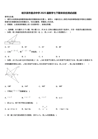 哈尔滨市重点中学2025届数学七下期末综合测试试题含解析