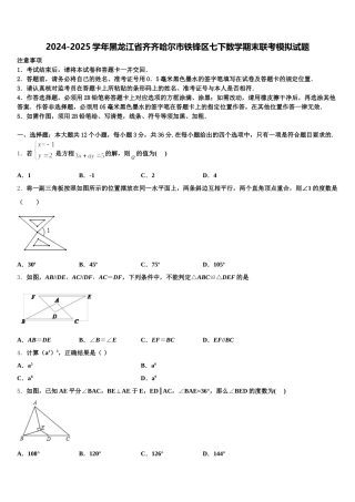 2024-2025学年黑龙江省齐齐哈尔市铁锋区七下数学期末联考模拟试题含解析