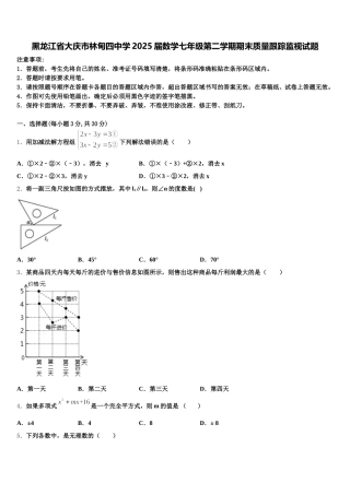 黑龙江省大庆市林甸四中学2025届数学七年级第二学期期末质量跟踪监视试题含解析