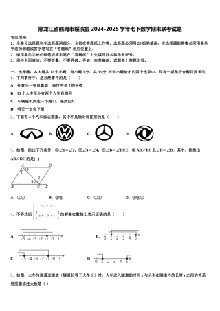 黑龙江省鹤岗市绥滨县2024-2025学年七下数学期末联考试题含解析