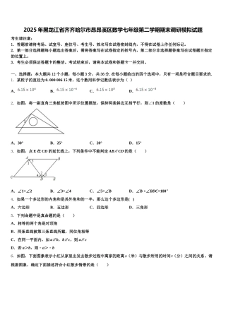 2025年黑龙江省齐齐哈尔市昂昂溪区数学七年级第二学期期末调研模拟试题含解析