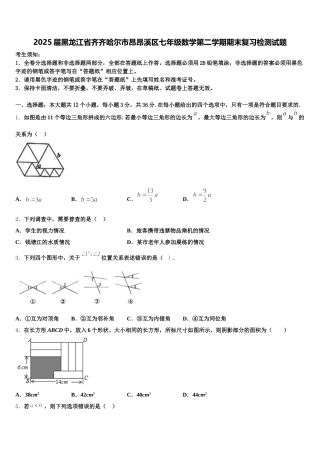 2025届黑龙江省齐齐哈尔市昂昂溪区七年级数学第二学期期末复习检测试题含解析