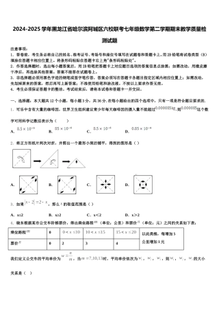 2024-2025学年黑龙江省哈尔滨阿城区六校联考七年级数学第二学期期末教学质量检测试题含解析