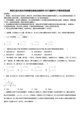 黑龙江省大庆杜尔伯特蒙古族自治县联考2025届数学七下期末检测试题含解析