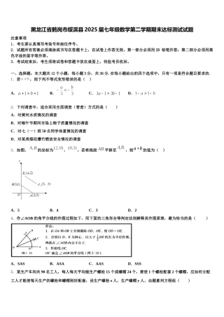 黑龙江省鹤岗市绥滨县2025届七年级数学第二学期期末达标测试试题含解析