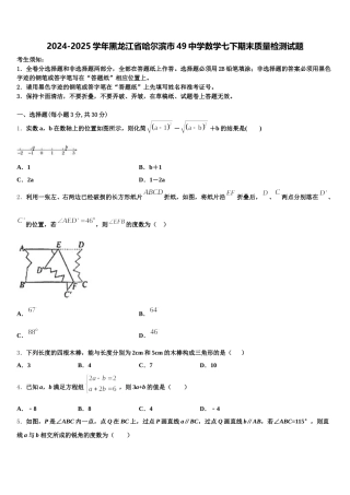 2024-2025学年黑龙江省哈尔滨市49中学数学七下期末质量检测试题含解析