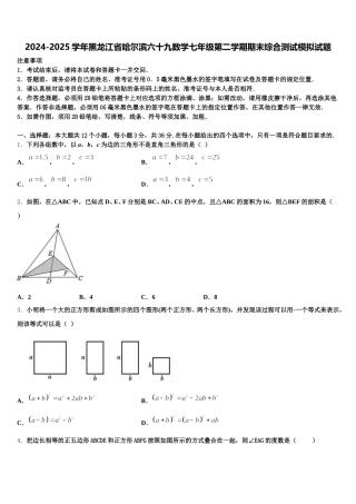 2024-2025学年黑龙江省哈尔滨六十九数学七年级第二学期期末综合测试模拟试题含解析