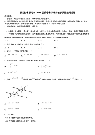 黑龙江省黑河市2025届数学七下期末教学质量检测试题含解析