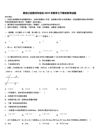 黑龙江省黑河市名校2025年数学七下期末联考试题含解析
