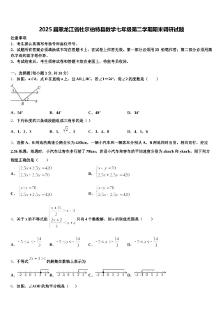 2025届黑龙江省杜尔伯特县数学七年级第二学期期末调研试题含解析