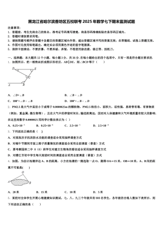 黑龙江省哈尔滨香坊区五校联考2025年数学七下期末监测试题含解析