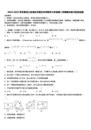 2024-2025学年黑龙江省海伦市第五中学数学七年级第二学期期末复习检测试题含解析